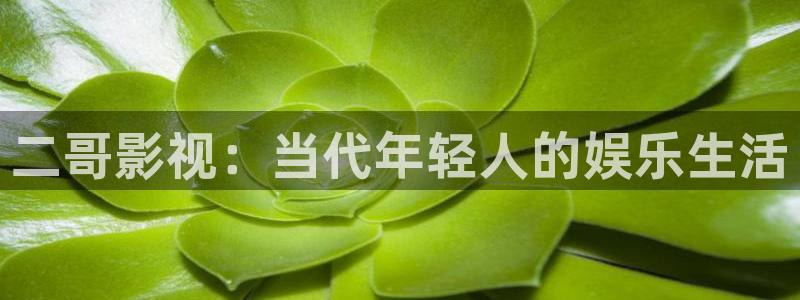 九七电影网九七电影院