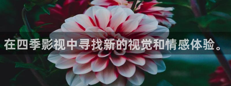 九七年的电影