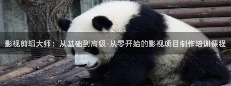 九七电影院手机版在线观看