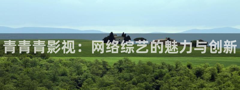九七电影院中文：青青青影视：网络综艺的魅力与创新