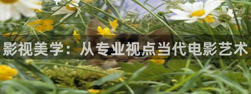 九七影视影院：影视美学：从专业视点当代电影艺术