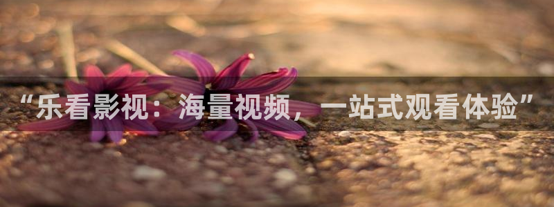 九七影院九七理论片：“乐看影视：海量视频，一站式观看体验”