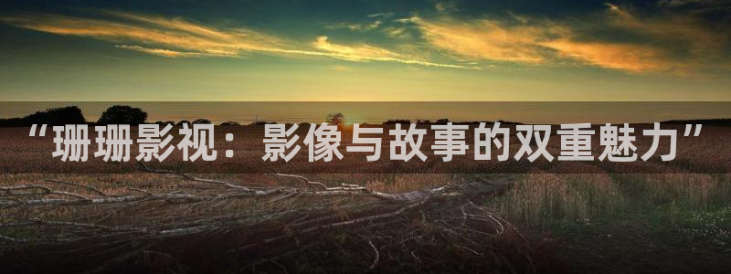 九七电影院伦理片：“珊珊影视：影像与故事的双重魅力”