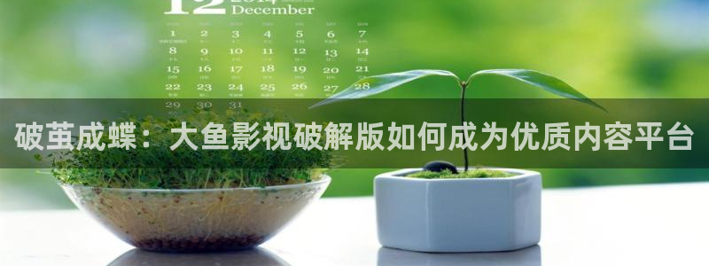 九七电影手机正式版：破茧成蝶：大鱼影视破解版如何成为优质内容平台